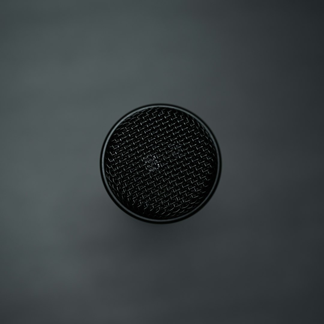 Close-up of a professional large-diaphragm condenser microphone
